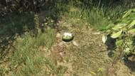 Image via GTA WIki